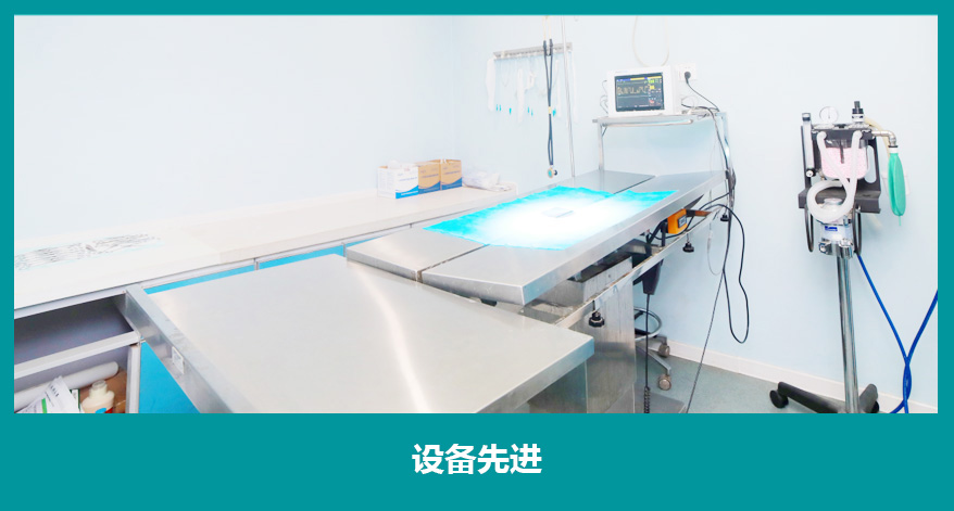 洛阳宠物医院_洛阳动物医院-洛阳市西工区贝康美动物医院