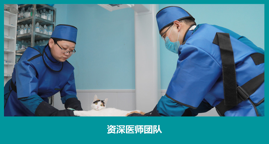 洛阳宠物医院_洛阳动物医院-洛阳市西工区贝康美动物医院