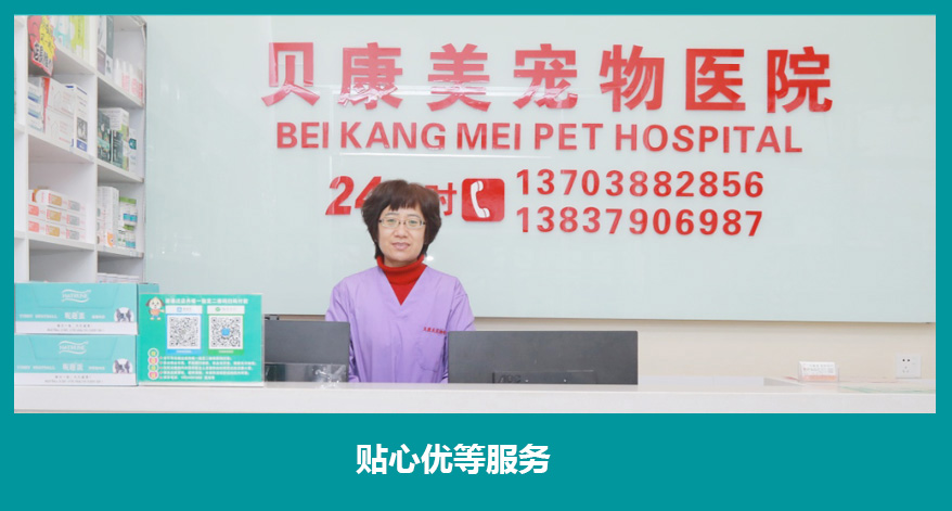 洛阳宠物医院_洛阳动物医院-洛阳市西工区贝康美动物医院