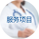 服务项目