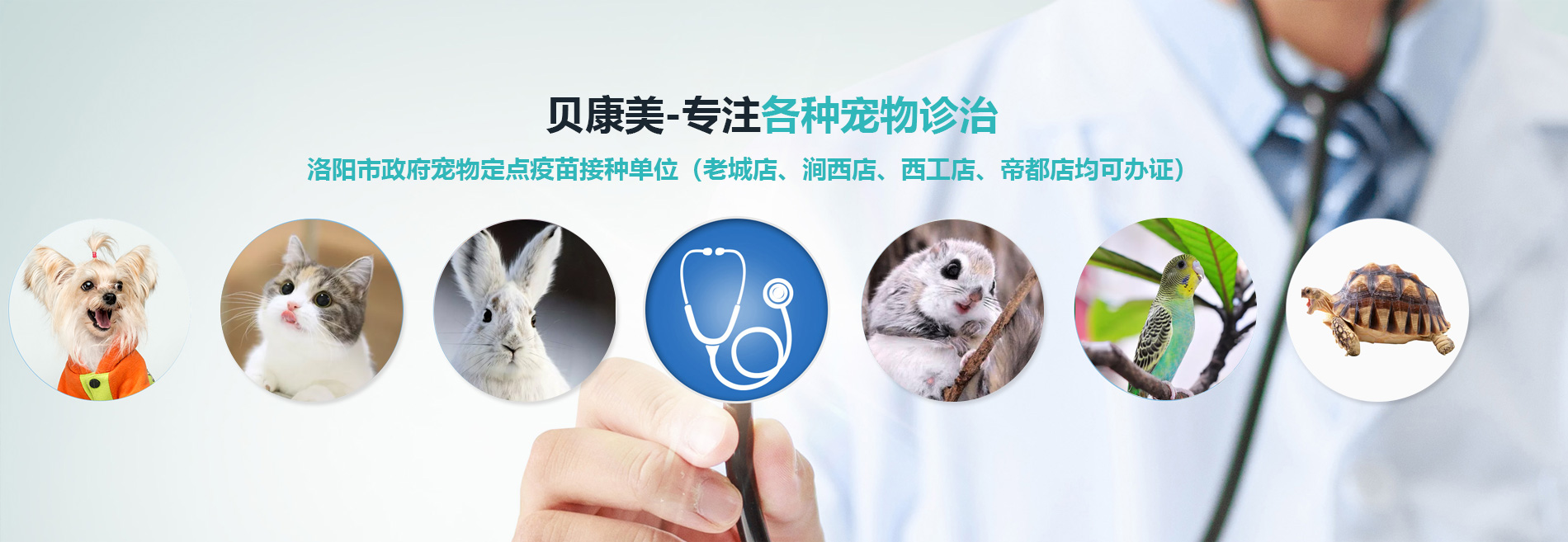 洛阳市洛龙区贝康美动物医院