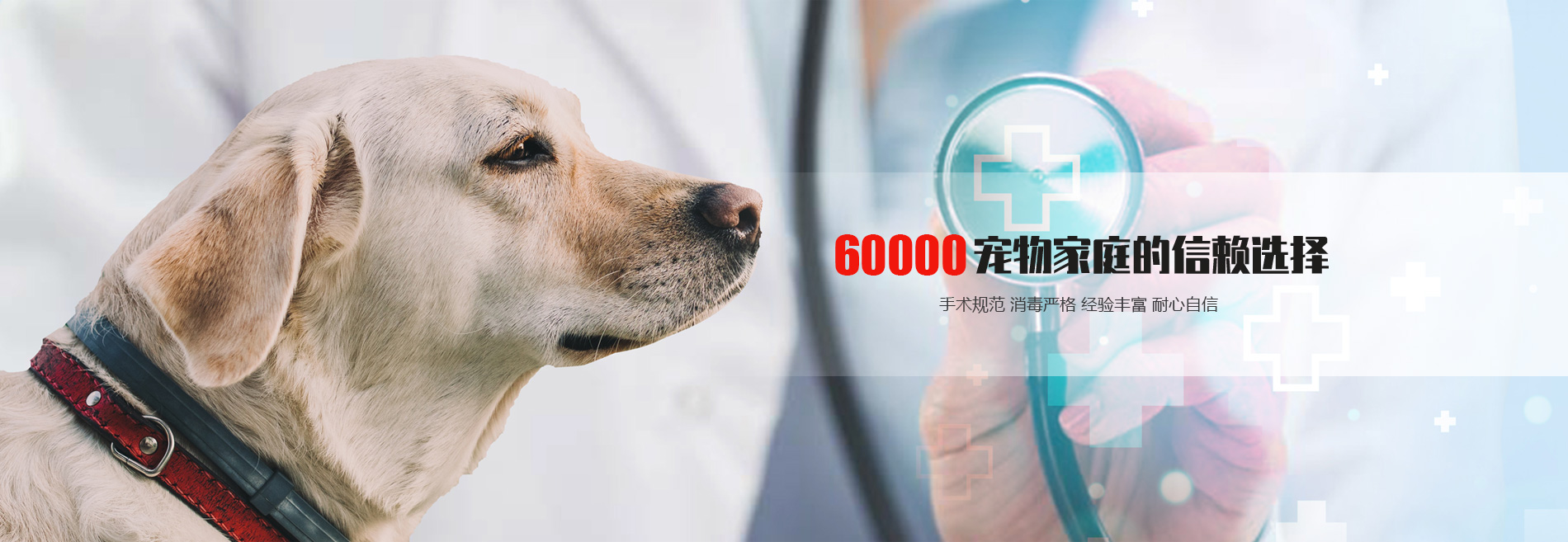 洛阳市洛龙区贝康美动物医院