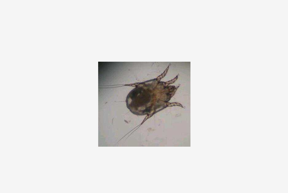 洛阳宠物医院14