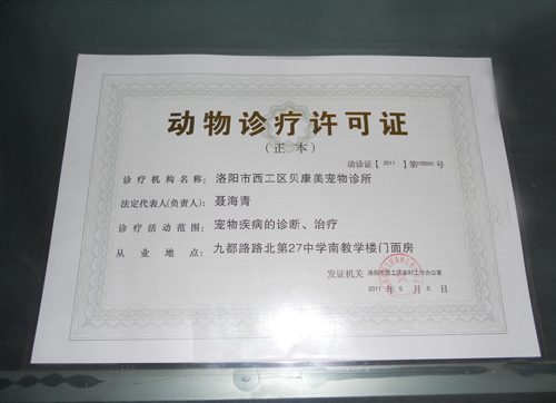洛阳市首家拥有动物诊疗证的专业动物医院　涧西区