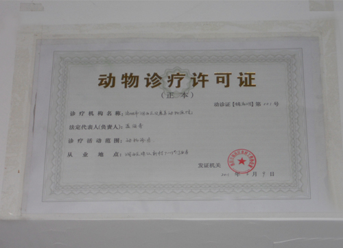 洛阳市首家拥有动物诊疗证的专业动物医院　西工区