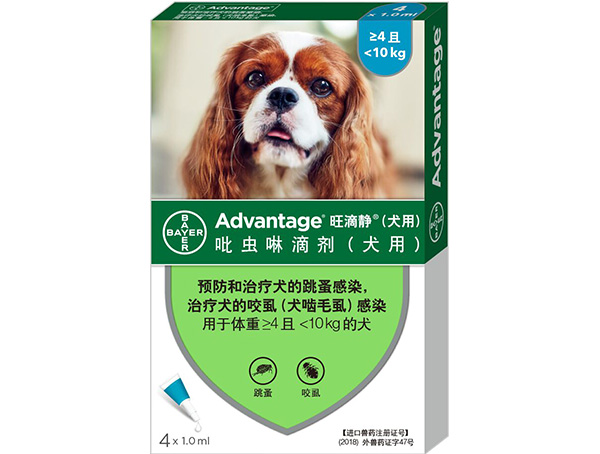 吡虫啉滴剂（犬用）