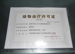 洛阳市首家拥有动物诊疗证的专业动物医院　涧西区