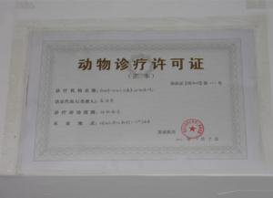 洛阳市首家拥有动物诊疗证的专业动物医院　西工区